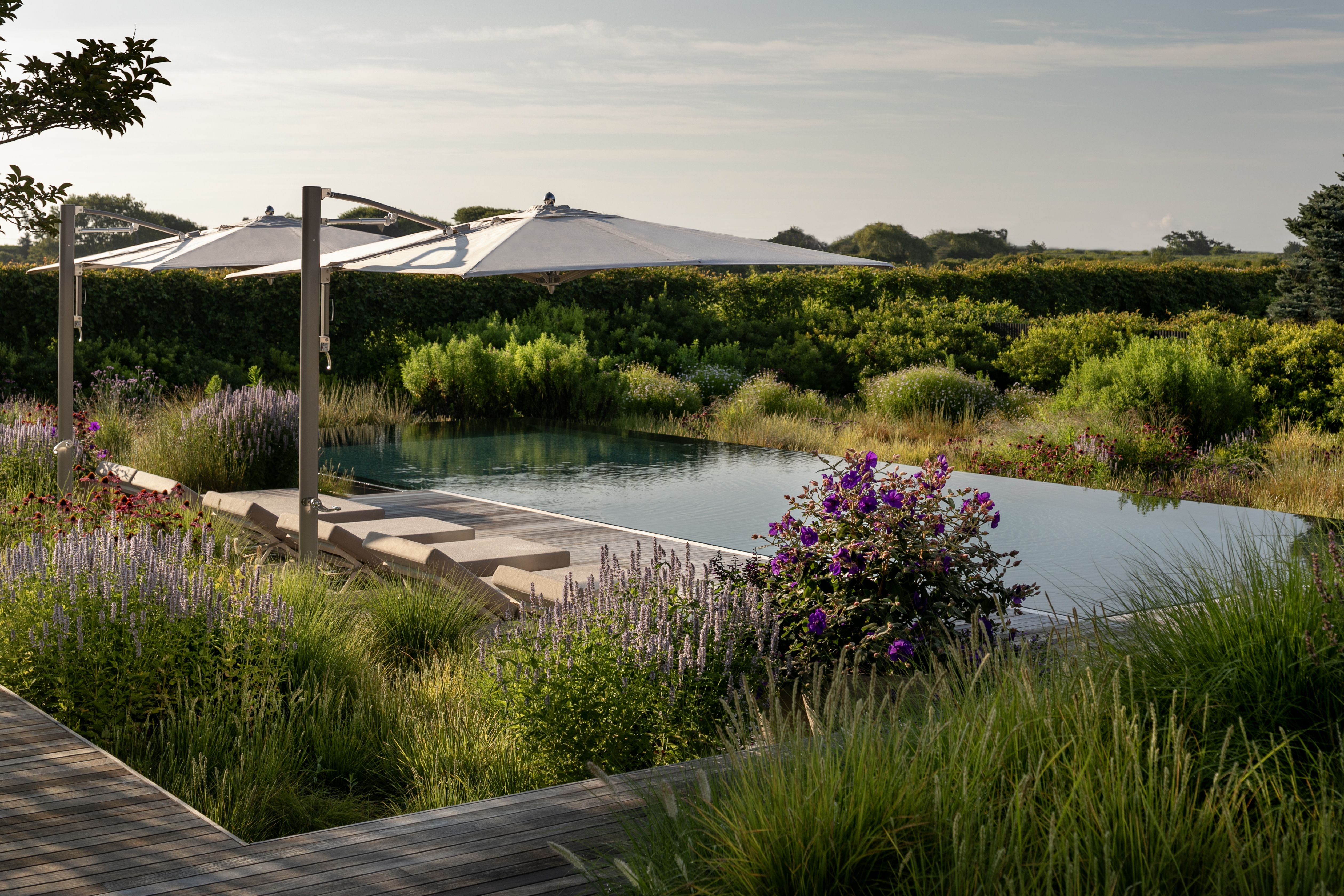 Cantilever parasols integrated into a landscaped resort